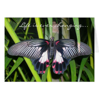 Cartão Transição, mudança de vida