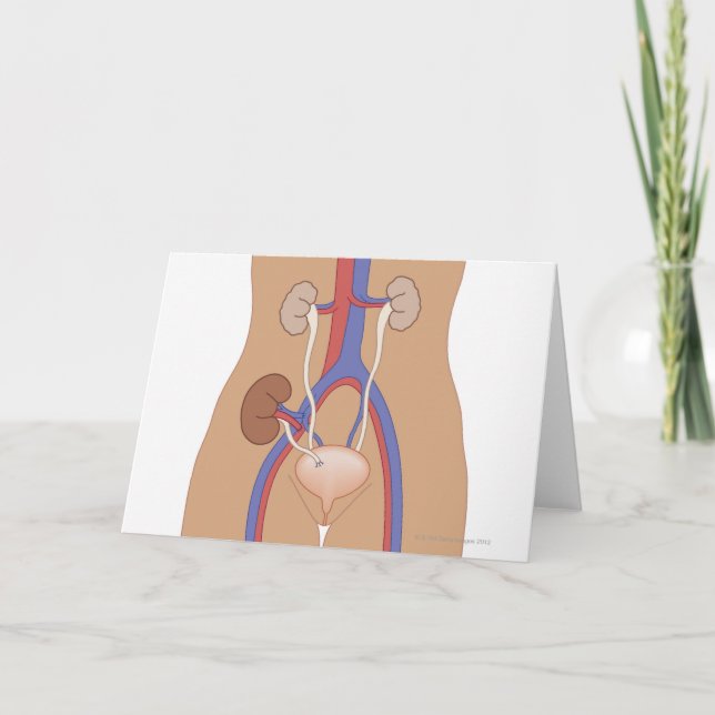 Cartão Transplante renal (Frente)