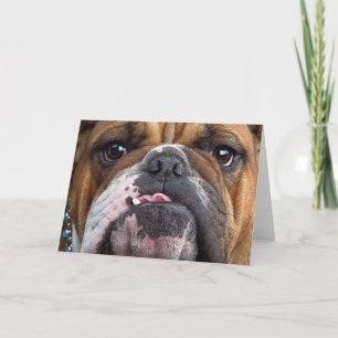 Cartão Travesseiro decorativo Inglês Bulldog