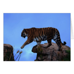 Cartão Travessia do Tigre