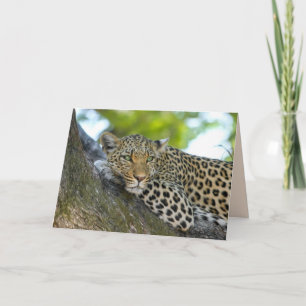 Cartão tree leopard greeting card