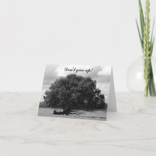 Cartão Tree of Life