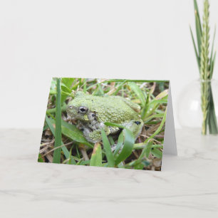 Cartão Treefrog Cinza Oriental