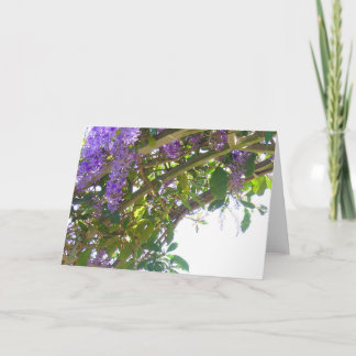 Cartão Treliça real