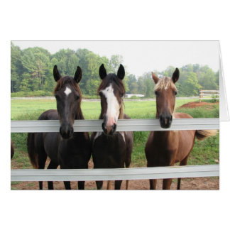 Cartão Três Amigas