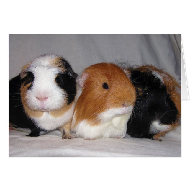 Cartão Três amigo (Frente Horizontal)