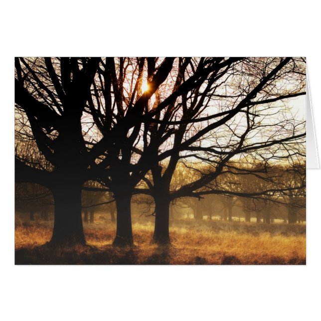 Cartão Três Árvores (Frente Horizontal)