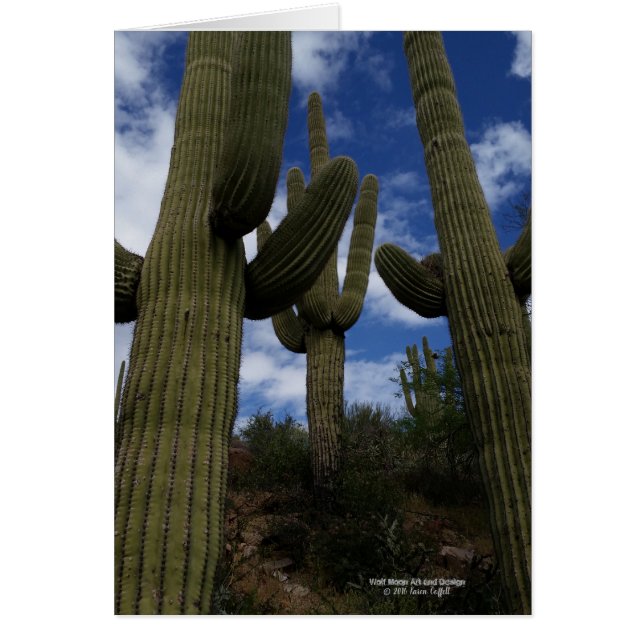 Cartão Três cactos gigantes do Saguaro com céu azul e (Frente)