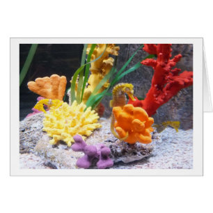 Cartão Três cavalos marinhos