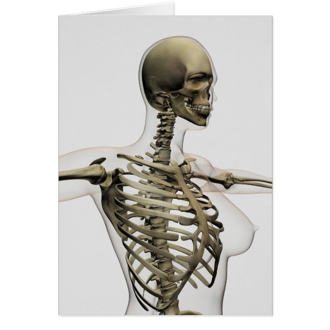 Cartão Três Dimensões Da Gaiola De Ribeira Feminina (Frente)