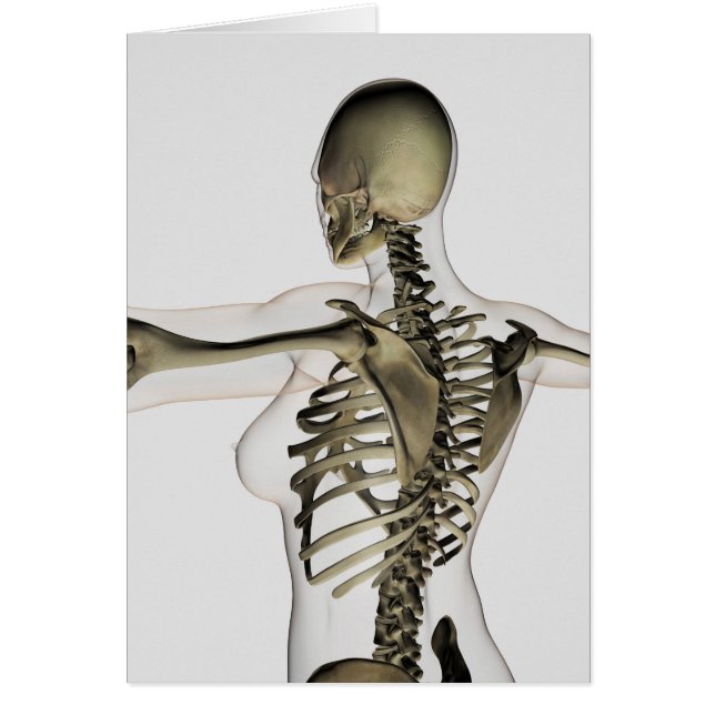 Cartão Três Dimensões Da Parte Superior Feminino (Frente)