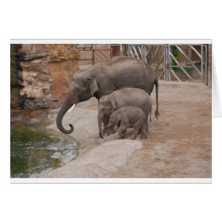 Cartão Três elefantes