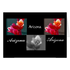 Cartão Três flores Penstem, Arizona