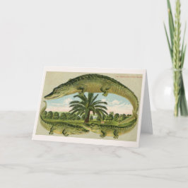 Cartão Três Galizadores e uma Árvore Palm