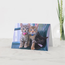 Cartão Três gatinhos