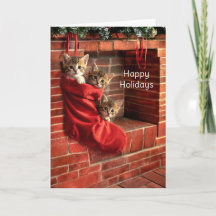 Três gatinhos numa meia de Natal