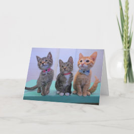 Cartão Três gatinhos pequenos