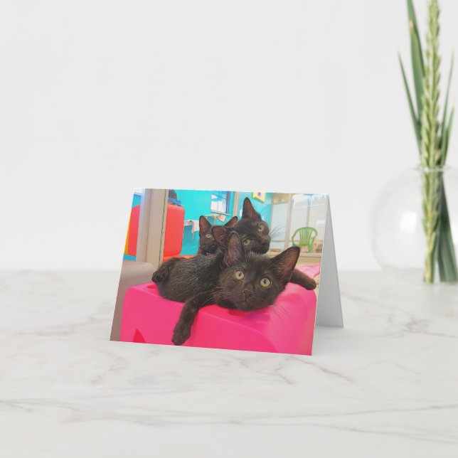 Cartão Três gatinhos pretos (Frente)