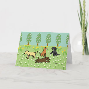 Cartão Três Labradores com Flores da Primavera