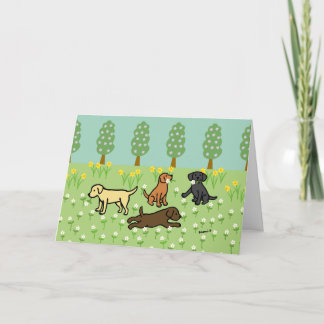 Cartão Três Labradores com Flores da Primavera