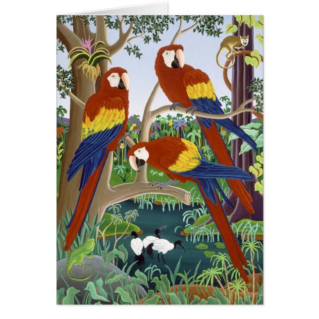 Cartão Três Macaws vermelhos (Frente)