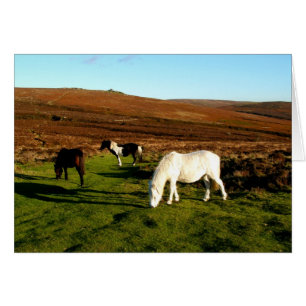 Cartão Três pôneis em Dartmoor