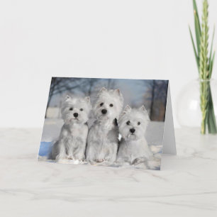Cartão Três Westies na Neve