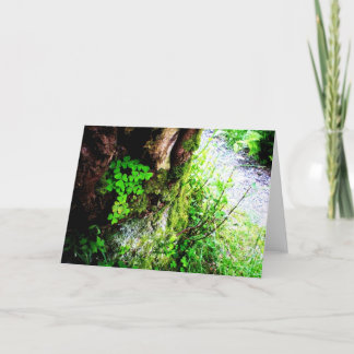 Cartão Trevos das monges