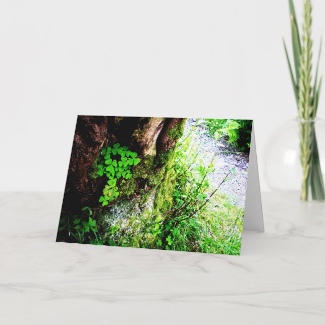 Cartão Trevos das monges (Frente)