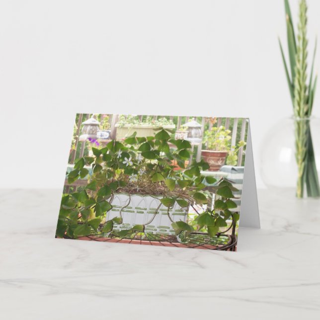 Cartão Trevos de florescência (Frente)