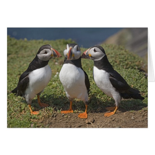 Cartão Triângulo do Amor (Frente Horizontal)