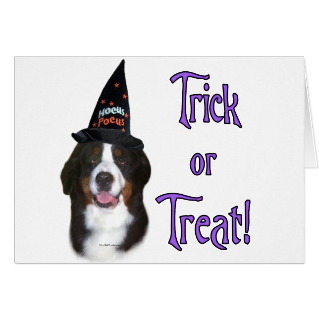 Cartão Trick de Cachorro da Montanha Bernese (Frente Horizontal)