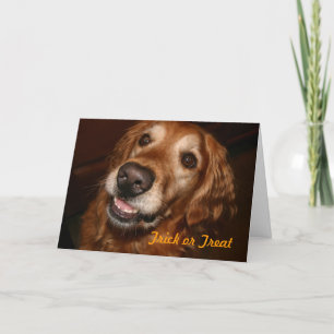 Cartão Trick or Treat Dog