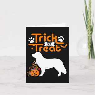 Cartão Trick Or Treat Pato Tolling Retriever Cão Hallowee