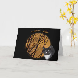 Cartão Trick ou trate o gato e a lua negros do Halloween
