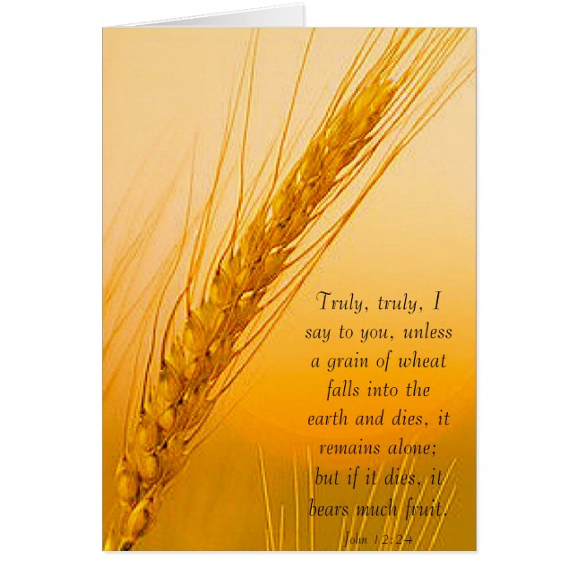 Cartão TrigoSol (Frente)