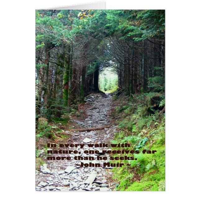Cartão Trilha Alum Cave: Cada caminhada com a natureza Jo (Frente)
