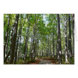 Cartão Trilha Arborizada Centenária II Ellicott City Mary
