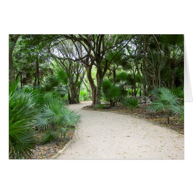 Cartão Trilha de Tulum (Frente Horizontal)