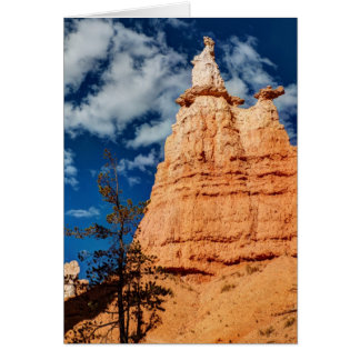 Cartão Trilha do Jardim da Rainha Victoria