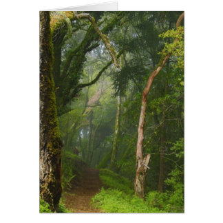 Cartão Trilha dos Oaks Antigos