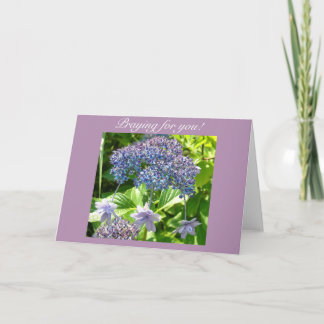 Cartão Trinity Rezando Por Você