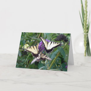 Cartão trio butterflys