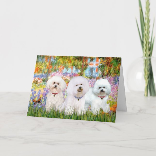 Cartão Trio de Bichon Frise - Jardim (VG) (Frente)
