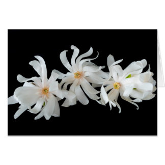 Cartão Trio de Flores de Magnólia em Preto