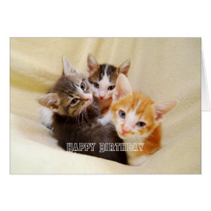 Cartão Trio de Gatinhos Quentes e Fofos Feliz Aniversário