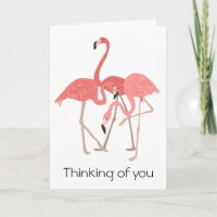 Trio do flamingo que pensa de você