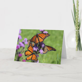 Cartão Trio do monarca