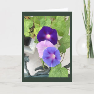 Cartão Trio Morning Glory em Branco 