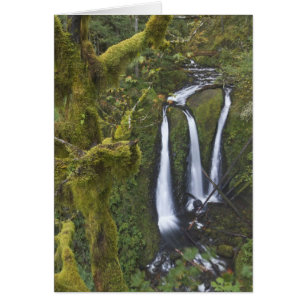 Cartão Triple Falls, Garganta do Rio Columbia